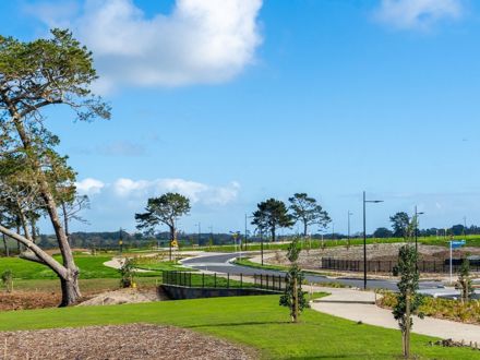 Property Developer Services
